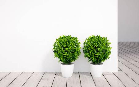 �Gɫ�h(hu��n)�����o���oζ